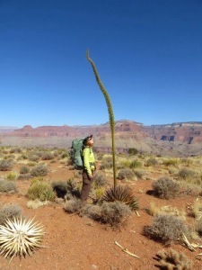 Me and a desert plant